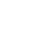 小動物犬・猫等