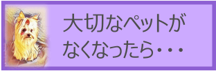 大切なペットが亡くなったら